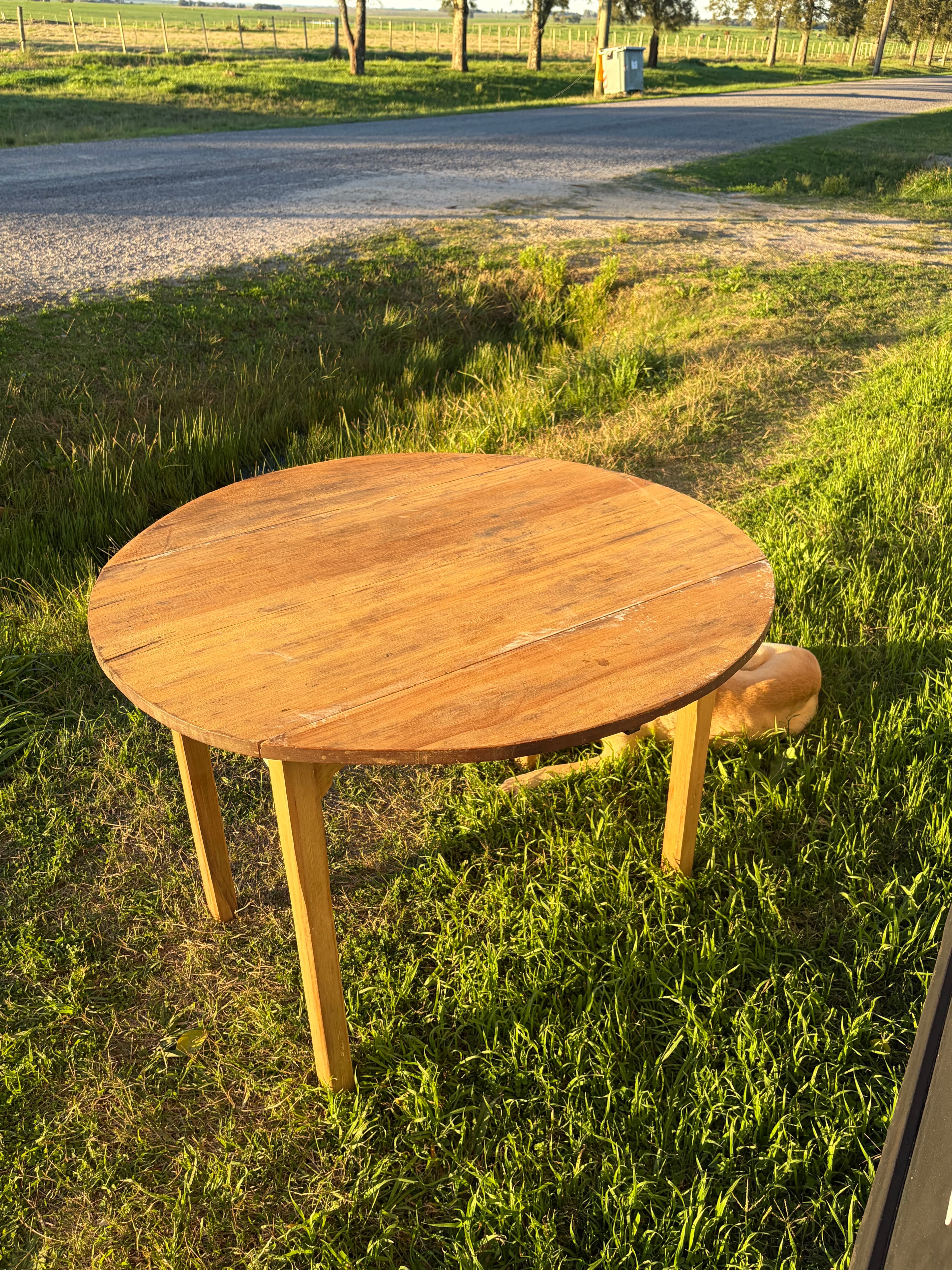 Mesa con alas