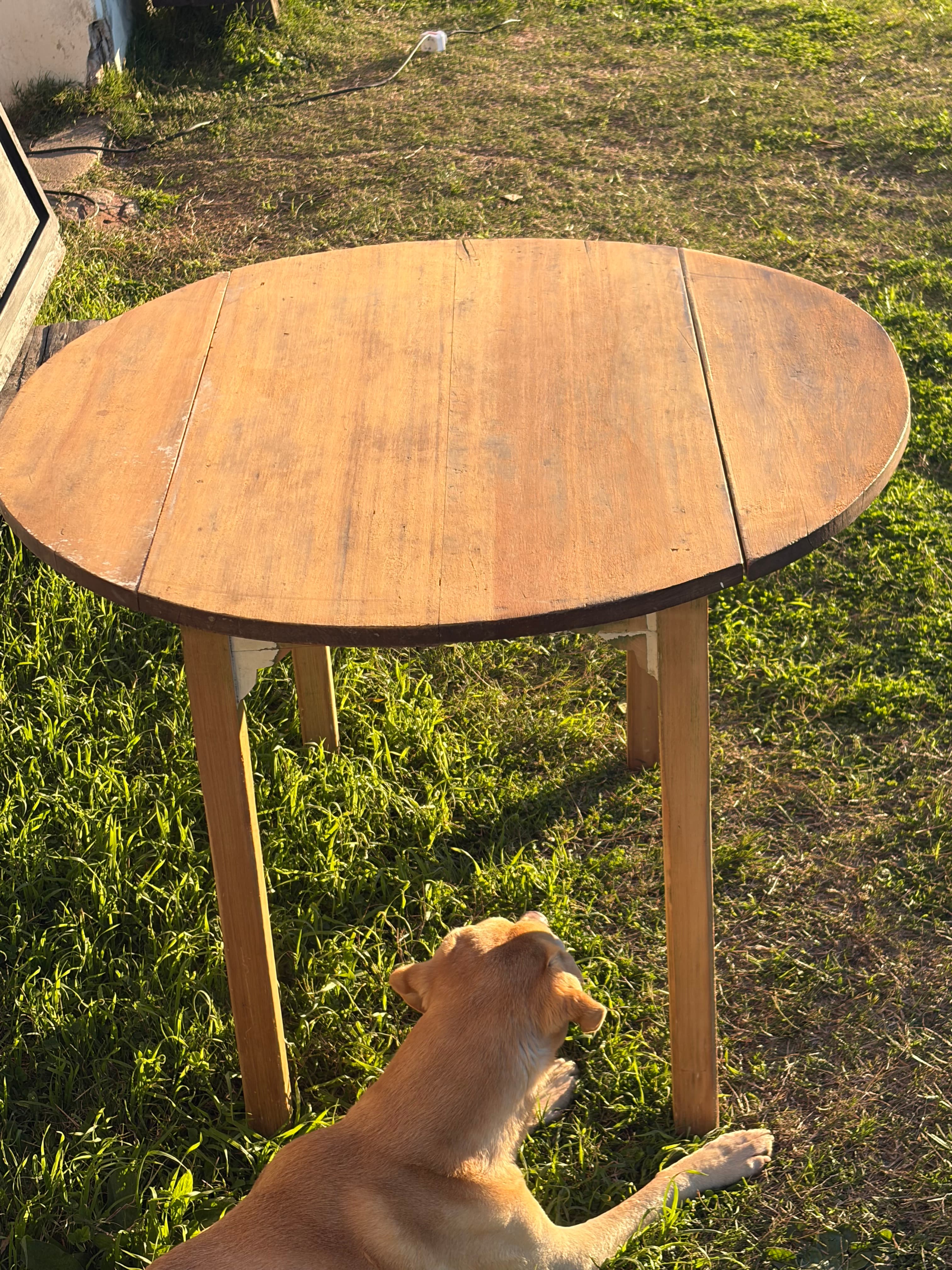 Mesa con alas